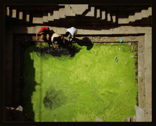 The Incredible Chand Baori