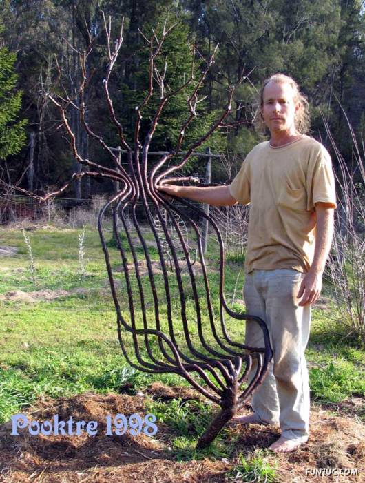 Shaping Trees in an Artistic Way