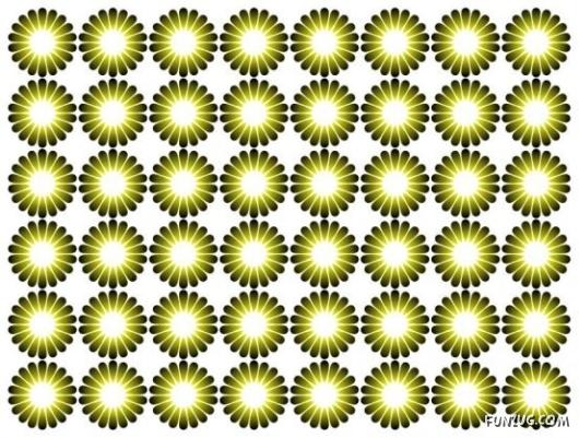 Optical Illusions Magic