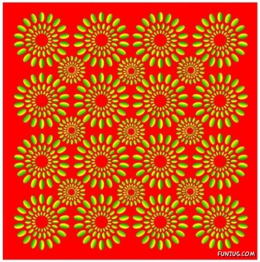 Optical Illusions Magic