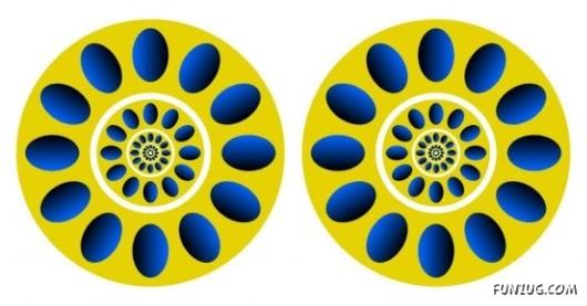 Optical Illusions Magic