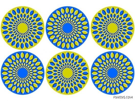 Optical Illusions Magic