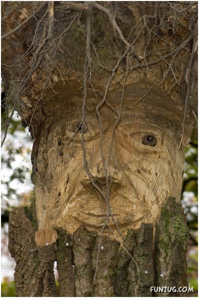 Creative Scarecrows for your Fields