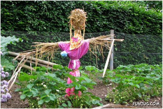 Creative Scarecrows for your Fields