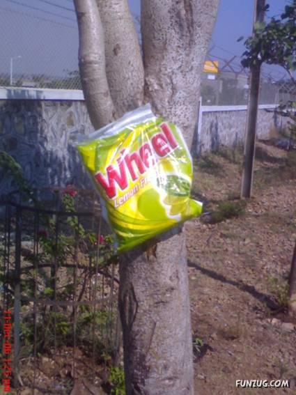 8th Wonder - A Tree with a Wheel