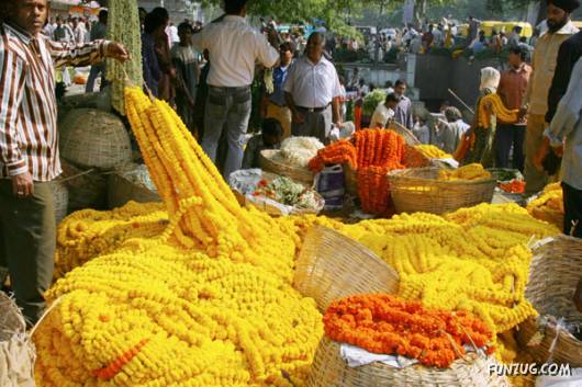 The Splendor of Diwali