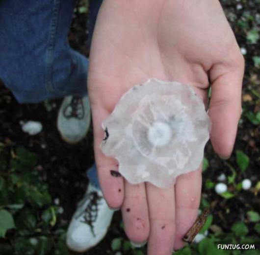 Get Iron Umbrella's For This Rain!