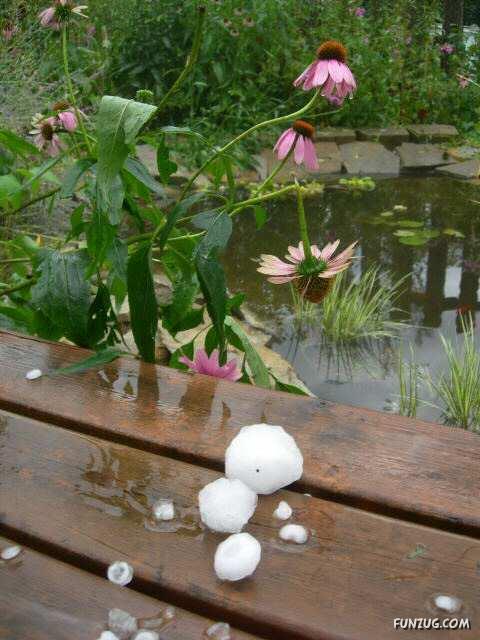 Get Iron Umbrella's For This Rain!